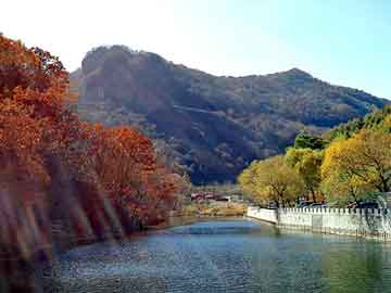 奥门天天开奖免费资料，岩峰湿喷机